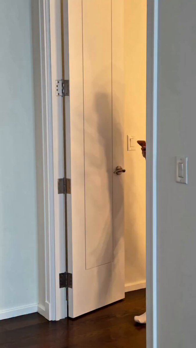 Shadow of a person on a white closet door (@mia_waifux)